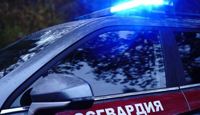 В Москве росгвардейцы задержали курьера с наркотиками, спрятанными в кондитерском изделии