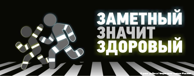 светоотражатели.jpg