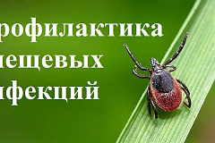 Профилактика инфекционных заболеваний, передающихся клещами